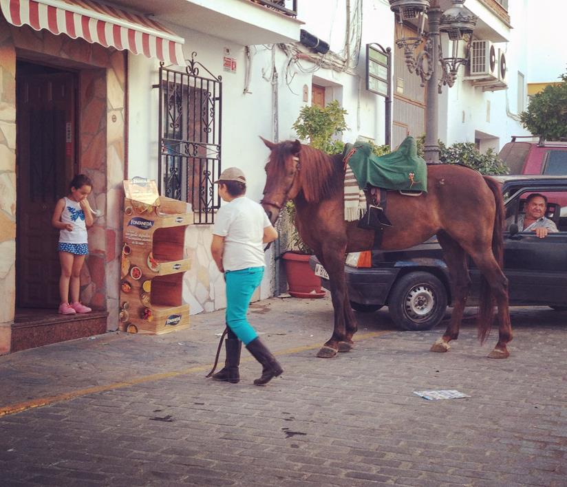 Image of boy leading horse to small shop